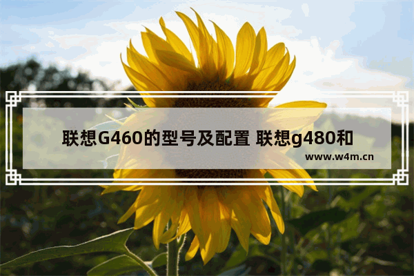 联想G460的型号及配置 联想g480和b460e屏幕通用吗