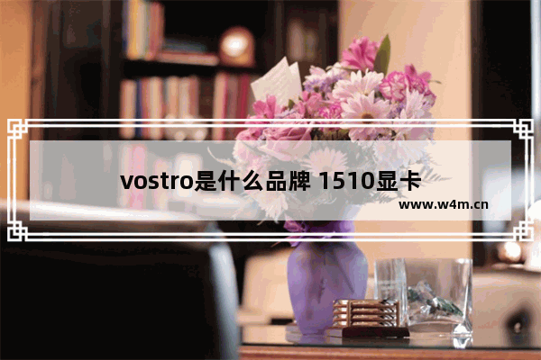 vostro是什么品牌 1510显卡