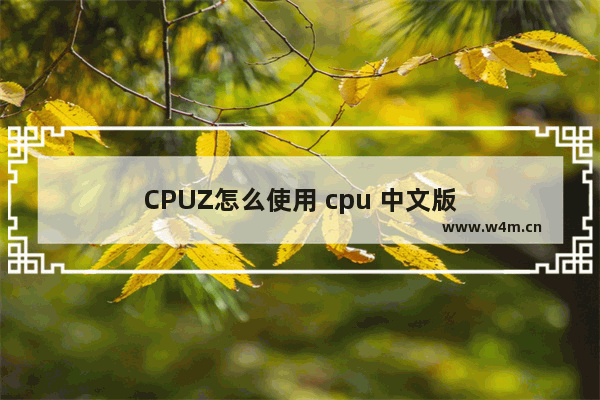 CPUZ怎么使用 cpu 中文版