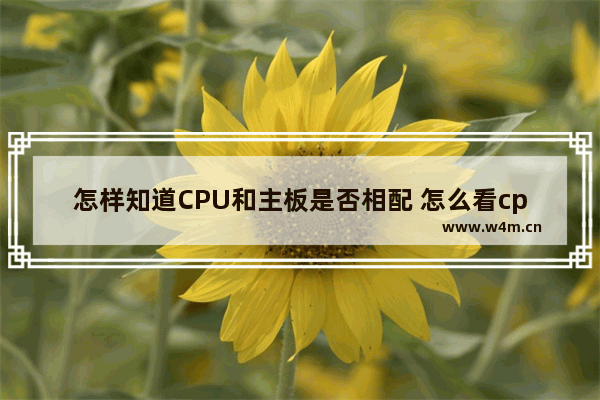 怎样知道CPU和主板是否相配 怎么看cpu与主板