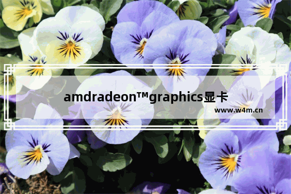 amdradeon™graphics显卡排名第几 显卡好评