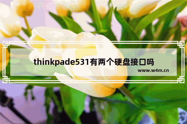 thinkpade531有两个硬盘接口吗 e531固态硬盘尺寸