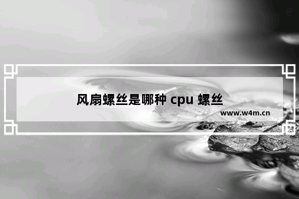 风扇螺丝是哪种 cpu 螺丝