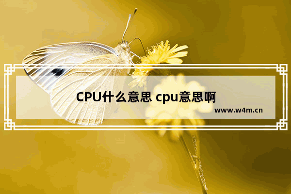 CPU什么意思 cpu意思啊