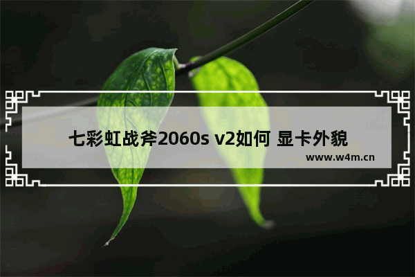 七彩虹战斧2060s v2如何 显卡外貌