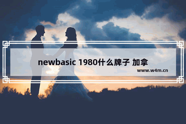 newbasic 1980什么牌子 加拿大学生用什么品牌电脑