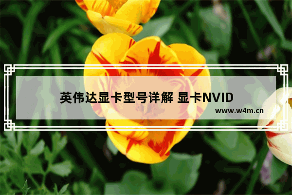 英伟达显卡型号详解 显卡NVID