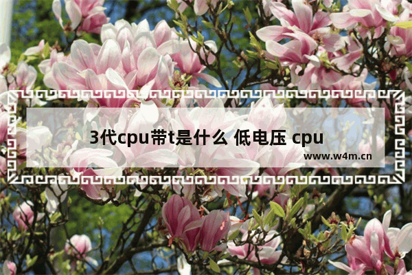 3代cpu带t是什么 低电压 cpu