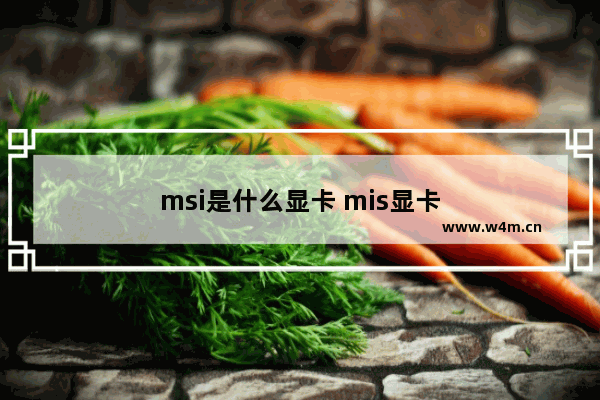 msi是什么显卡 mis显卡