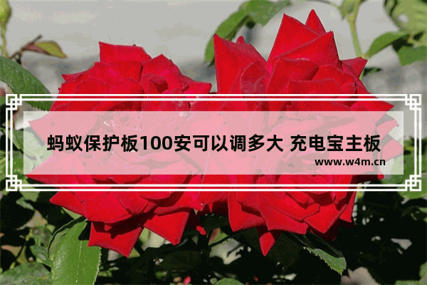 蚂蚁保护板100安可以调多大 充电宝主板充电电流太小