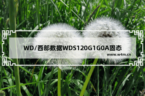 WD/西部数据WDS120G1G0A固态硬盘怎么样 好用吗 wd120g固态硬盘