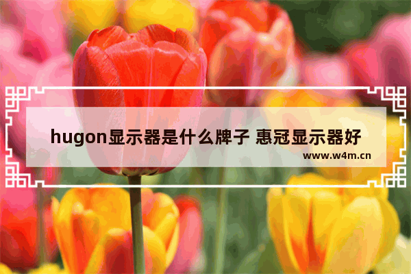 hugon显示器是什么牌子 惠冠显示器好不好