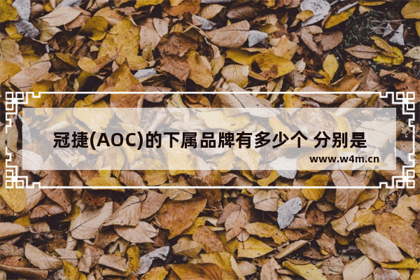 冠捷(AOC)的下属品牌有多少个 分别是什么 电脑多功能显示器推荐品牌