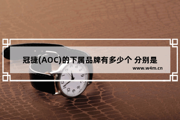 冠捷(AOC)的下属品牌有多少个 分别是什么 梦想家显示器32寸