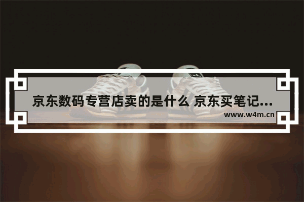 京东数码专营店卖的是什么 京东买笔记本电脑靠谱不 和天猫哪个更靠谱些