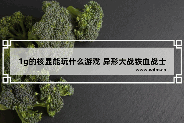 1g的核显能玩什么游戏 异形大战铁血战士配置要多高