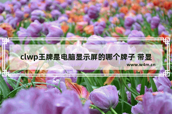 clwp王牌是电脑显示屏的哪个牌子 带显示器的电脑有哪些品牌