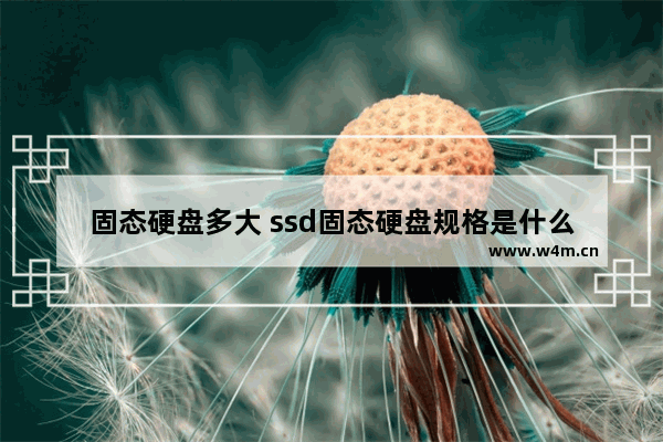 固态硬盘多大 ssd固态硬盘规格是什么