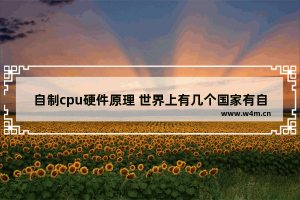 自制cpu硬件原理 世界上有几个国家有自己生产的CPU 他们的性能都怎么样