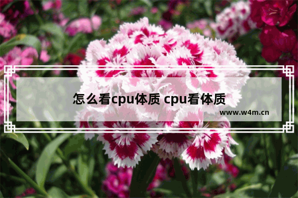 怎么看cpu体质 cpu看体质