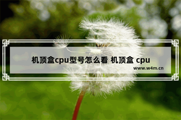 机顶盒cpu型号怎么看 机顶盒 cpu