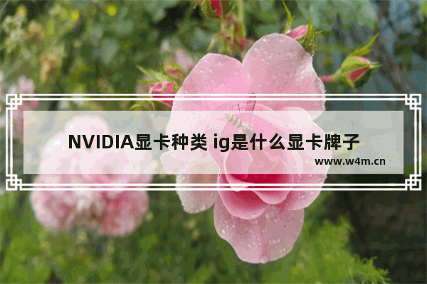 NVIDIA显卡种类 ig是什么显卡牌子