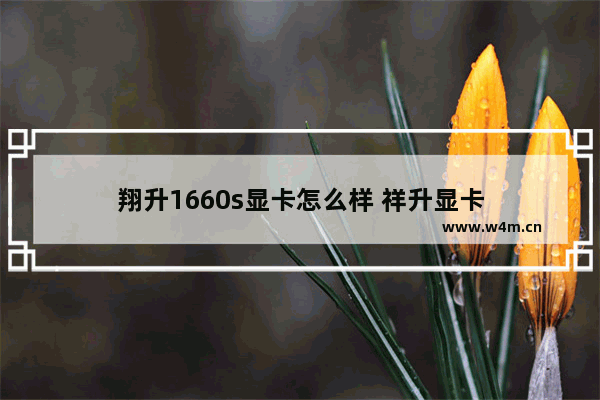 翔升1660s显卡怎么样 祥升显卡