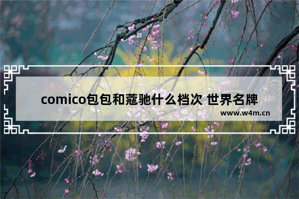 comico包包和蔻驰什么档次 世界名牌包包前十名