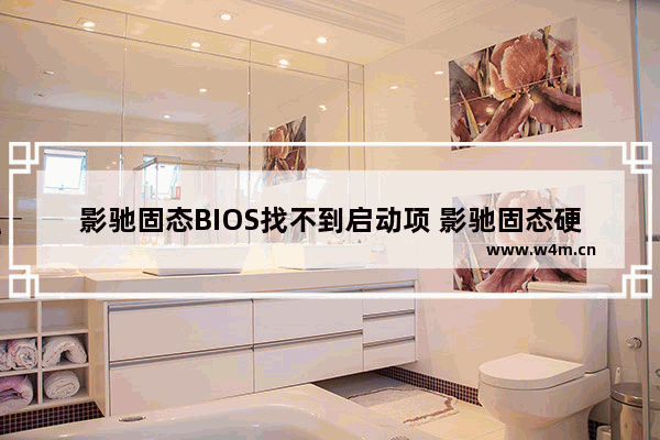 影驰固态BIOS找不到启动项 影驰固态硬盘 读写速度跑分成绩