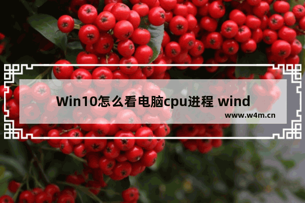 Win10怎么看电脑cpu进程 windows中有什么命令可以监控进程所占用的CPU和内存