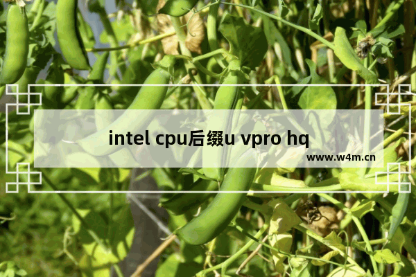 intel cpu后缀u vpro hq k t mx分别是什么意思 cpu的u hq