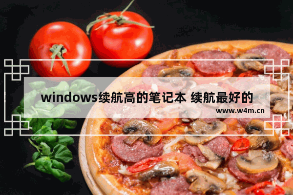 windows续航高的笔记本 续航最好的品牌笔记本电脑