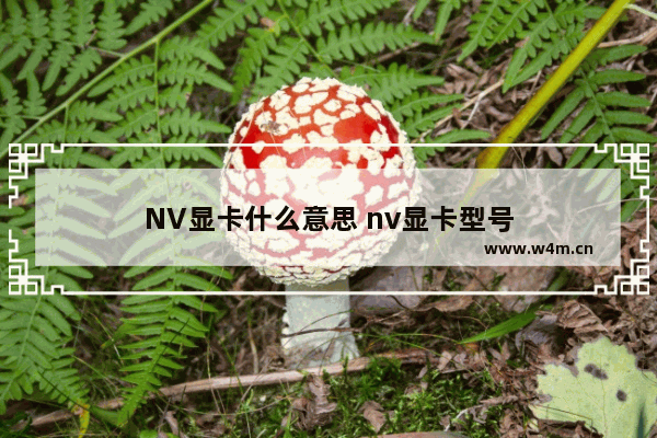 NV显卡什么意思 nv显卡型号