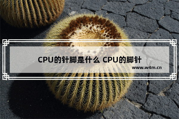 CPU的针脚是什么 CPU的脚针