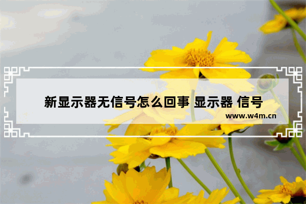 新显示器无信号怎么回事 显示器 信号