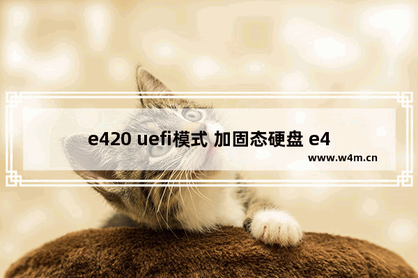 e420 uefi模式 加固态硬盘 e420改固态硬盘