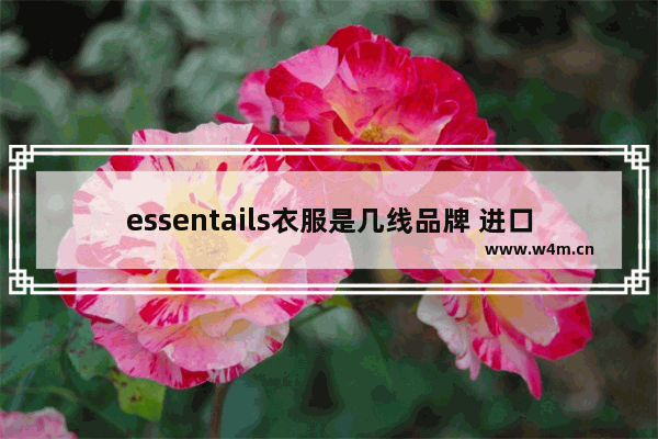 essentails衣服是几线品牌 进口笔记本电脑包品牌