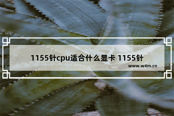 1155针cpu适合什么显卡 1155针 cpu