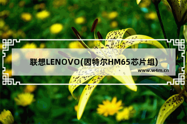 联想LENOVO(因特尔HM65芯片组)的主板最大支持多少内存 内存的主频是多少 h410m主板最高能用多高的内存