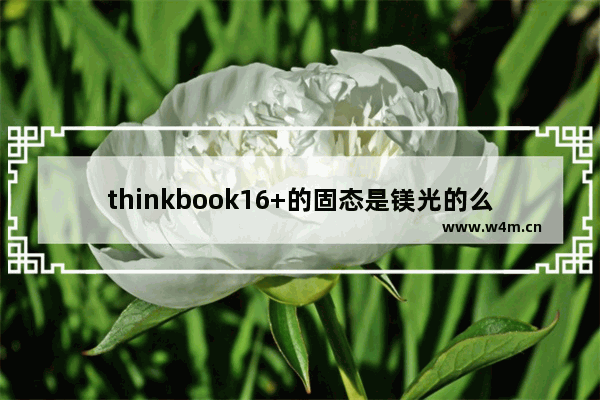 thinkbook16+的固态是镁光的么 镁光固态硬盘512g