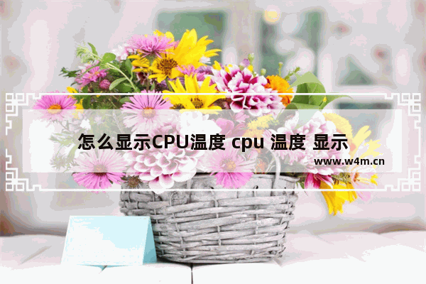 怎么显示CPU温度 cpu 温度 显示