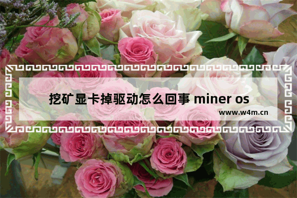 挖矿显卡掉驱动怎么回事 miner os 显卡驱动异常