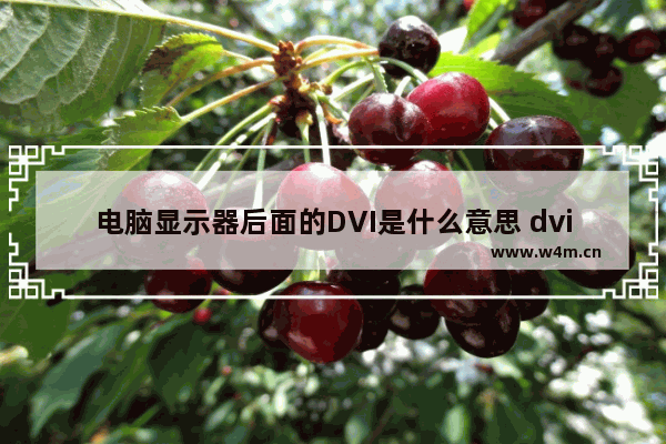 电脑显示器后面的DVI是什么意思 dvi能给显示器供电吗