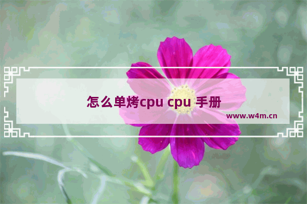 怎么单烤cpu cpu 手册