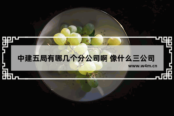 中建五局有哪几个分公司啊 像什么三公司 土木工程公司等等。这些公司有什么区别呢 最大的电脑组装公司有哪些