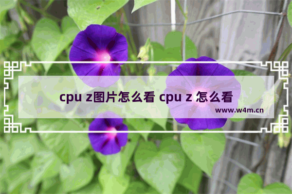 cpu z图片怎么看 cpu z 怎么看