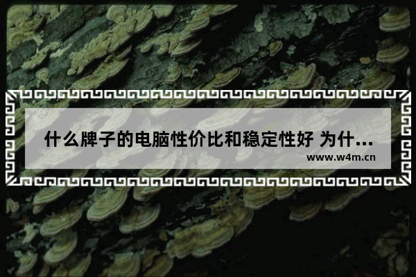 什么牌子的电脑性价比和稳定性好 为什么有些笔记本电脑配置高却很便宜