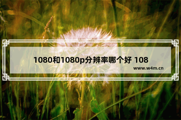 1080和1080p分辨率哪个好 1080的显示器