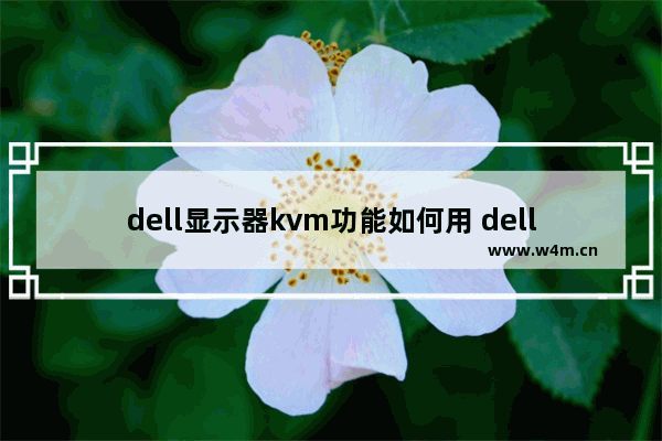 dell显示器kvm功能如何用 dell显示器怎么