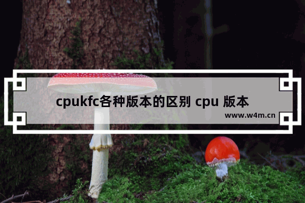 cpukfc各种版本的区别 cpu 版本